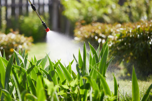 24/7 Emergency Mosquito Control experts in Pine Mountain Club, CA