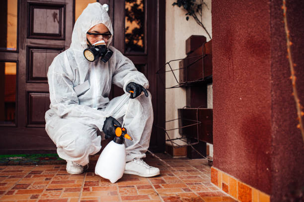 Reliable Mosquito Control contractor in Pine Mountain Club, CA by Show Me Pest Control